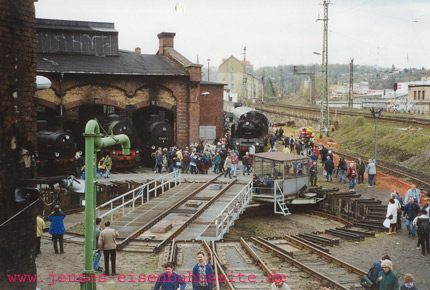 Blick in Lockschuppen
